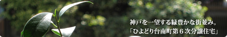�Ђ�ǂ��쒬